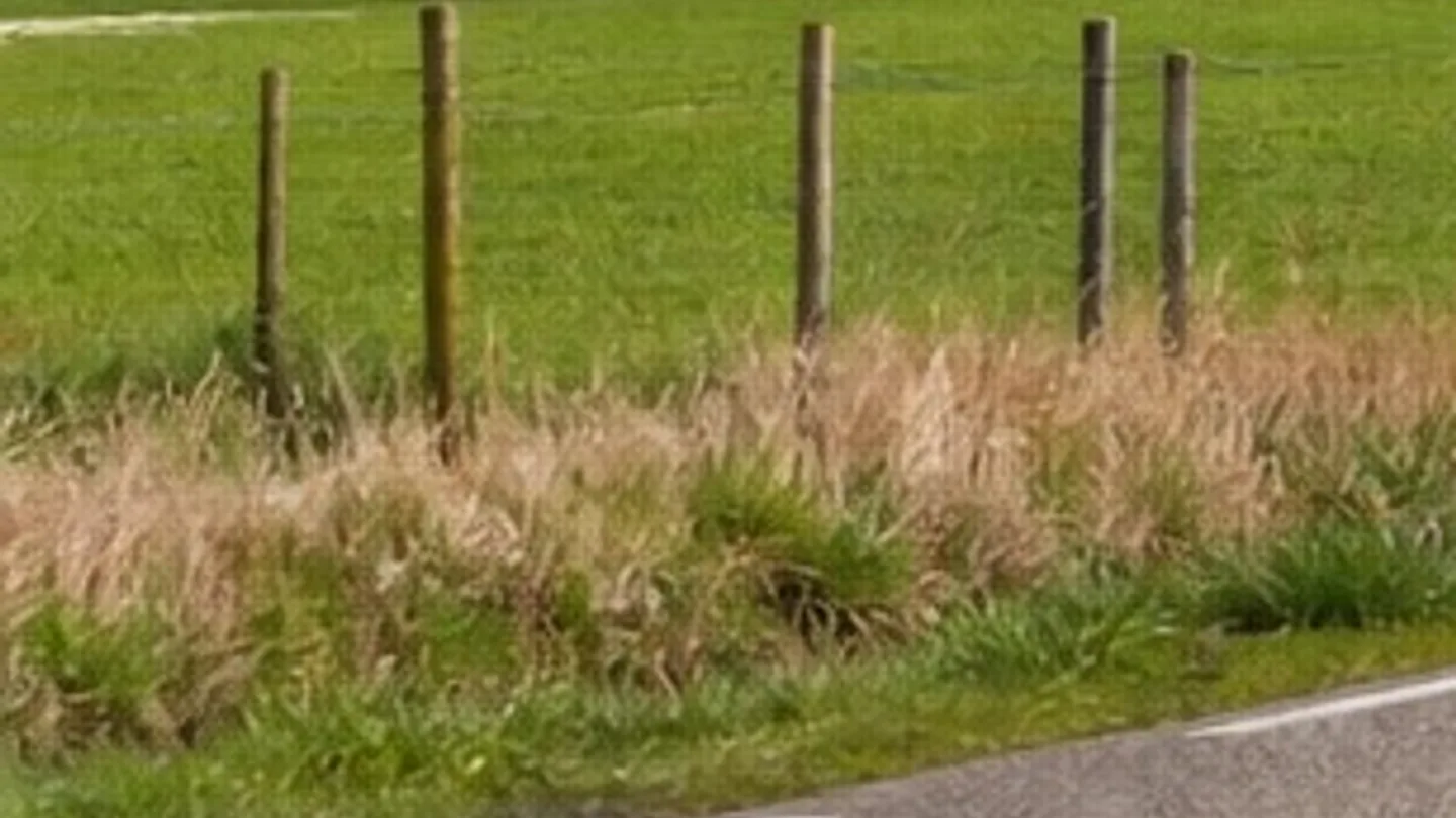 Redactioneel rasterbeeld over laadkosten